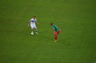 mk体育直播官网-国乒奖金出炉，王艺迪喜提28万成大赢家！陈幸同仅获3万，奖金分配引热议